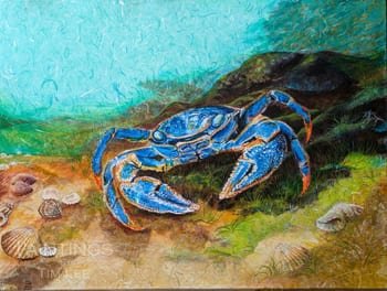 'Blue Crab' Original