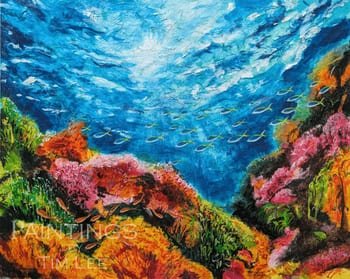 'Coral Ledge' Original