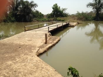 Bridge