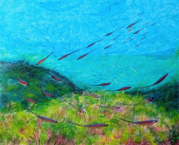 'Shoals & Seagrass' Original